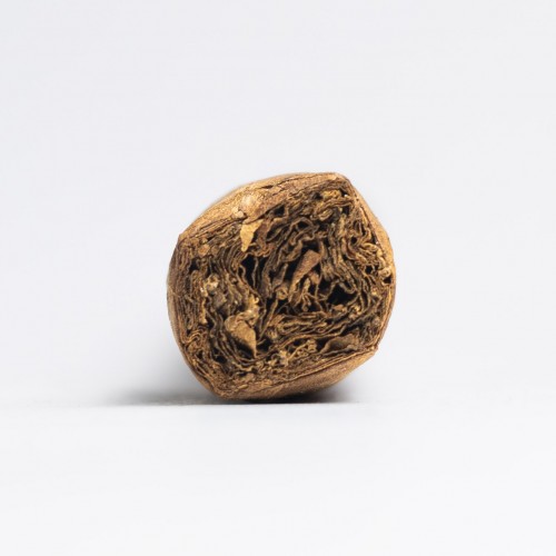 Aladino Corojo Elegante Cigar - 1 Single